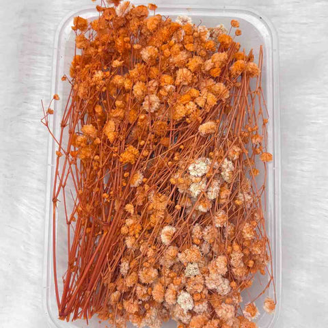 Dry Flower Box for Resin Art Type5