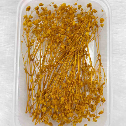 Dry Flower Box for Resin Art Type12