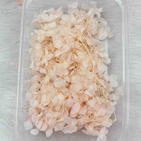 Dry Flower Box for Resin Art Type13