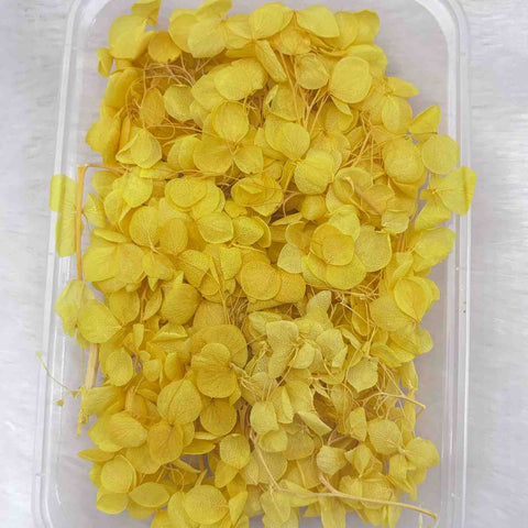 Dry Flower Box for Resin Art Type18