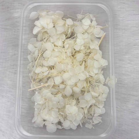 Dry Flower Box for Resin Art Type25