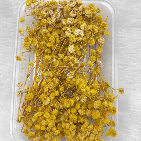 Dry Flower Box for Resin Art Type27