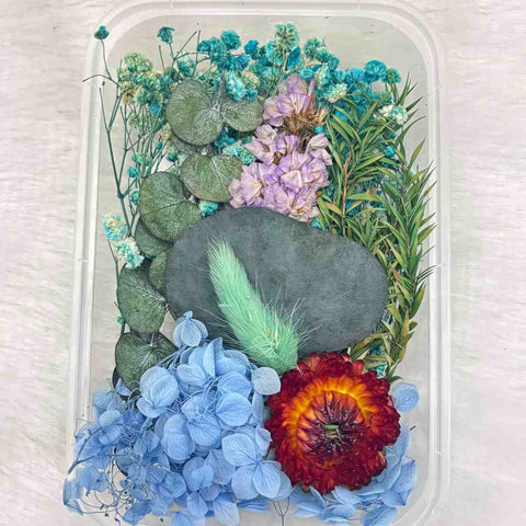 Dry Flower Box for Resin Art Type28