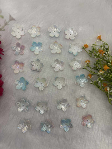 Rainbow Flower 4 - 10gm