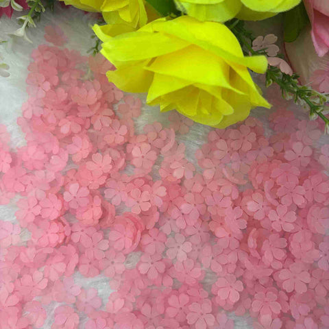 Baby Pink Flower Type 7 - 10Gm