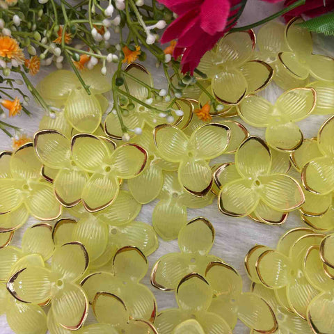 Yellow Three Leaf Lotus - 10 gm