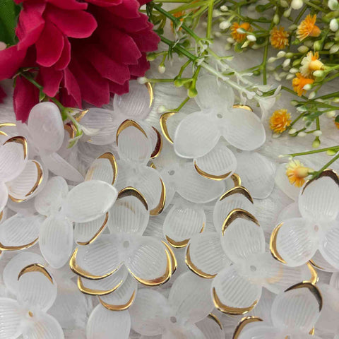 White Three Leaf Lotus - 10 gm