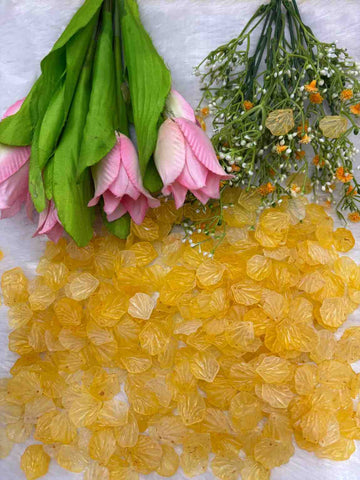 Yellow Shell- 10 gm