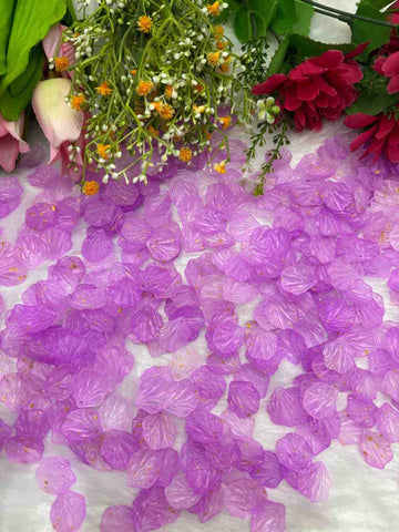 Violet Shell - 10 gm