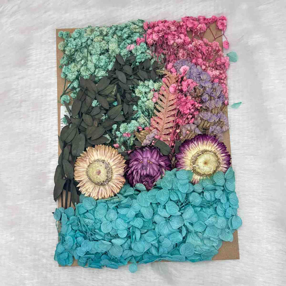 Dry Flowers c2 - 1 Pack