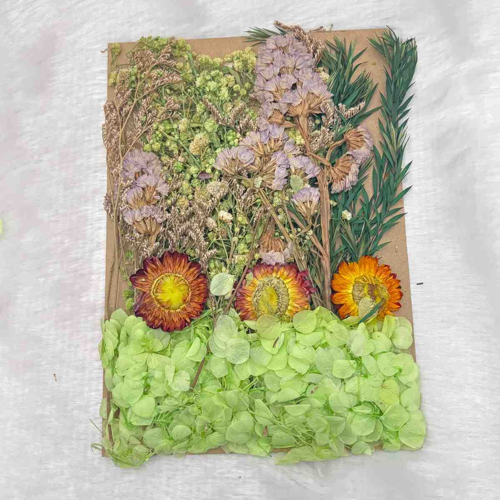 Dry Flowers C3 - 1 Pack