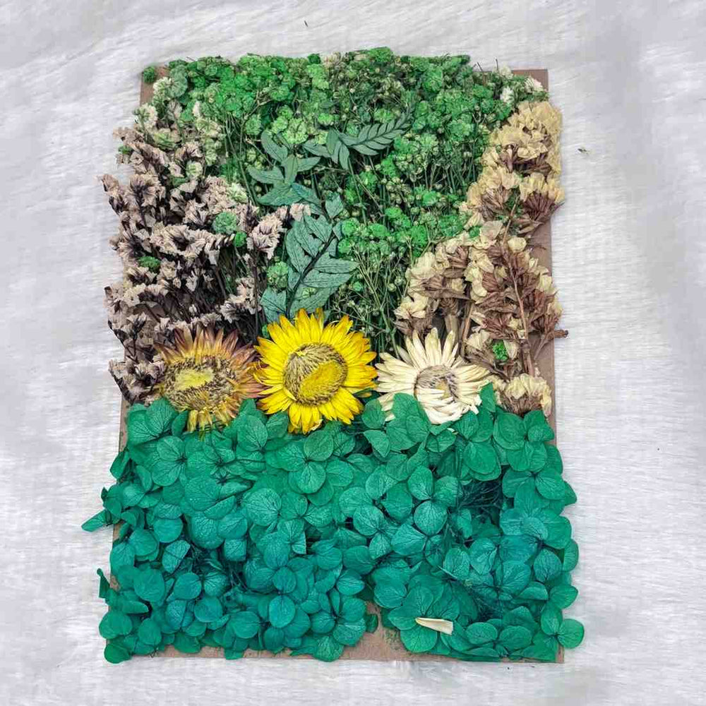 Dry Flowers C4 - 1 Pack