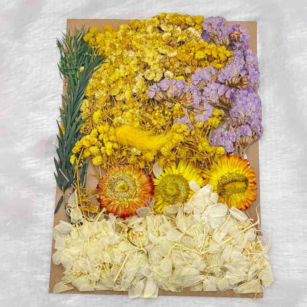 Dry Flowers C6 - 1 Pack