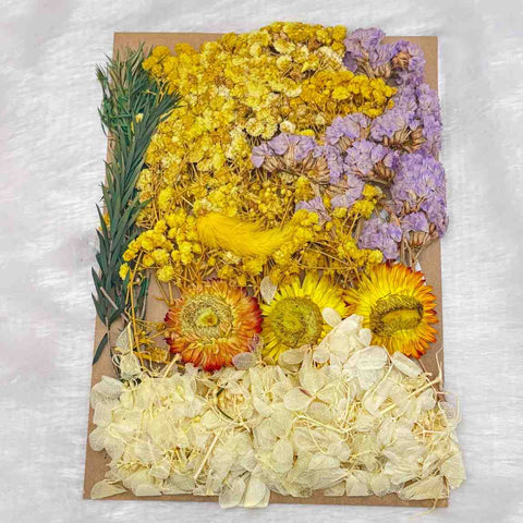 Dry Flowers C6 - 1 Pack