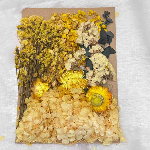 Dry Flowers C8 - 1 Pack