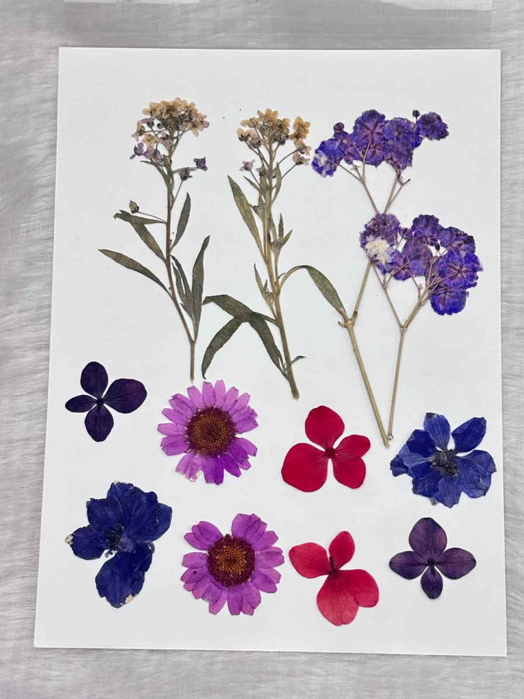 Pressed Flower C1 - 1 Sheets