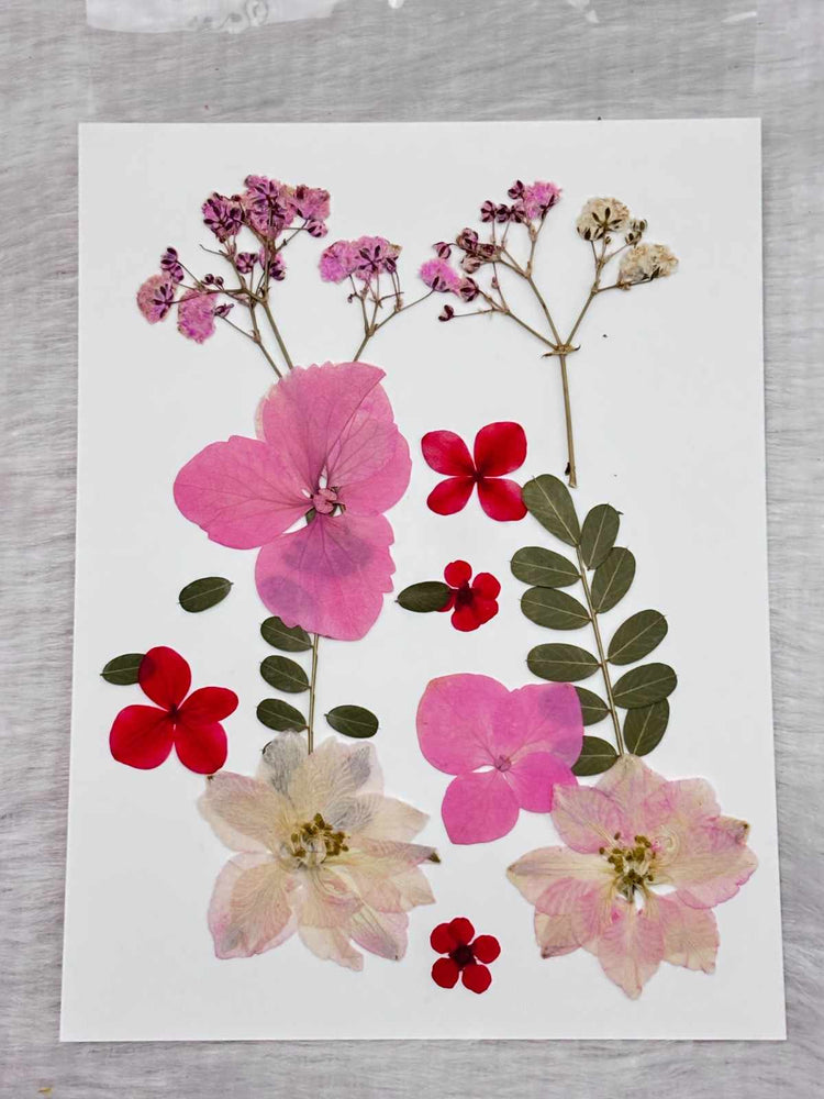 Pressed Flower C2 - 1 Sheets