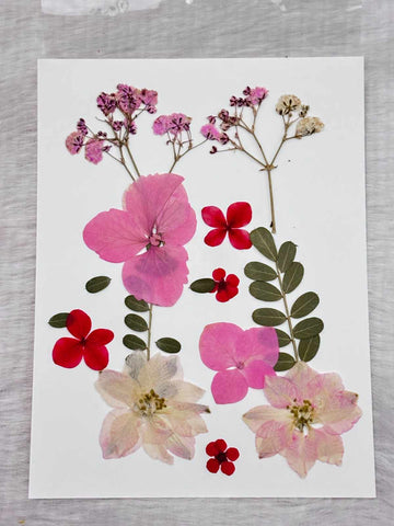 Pressed Flower C2 - 1 Sheets