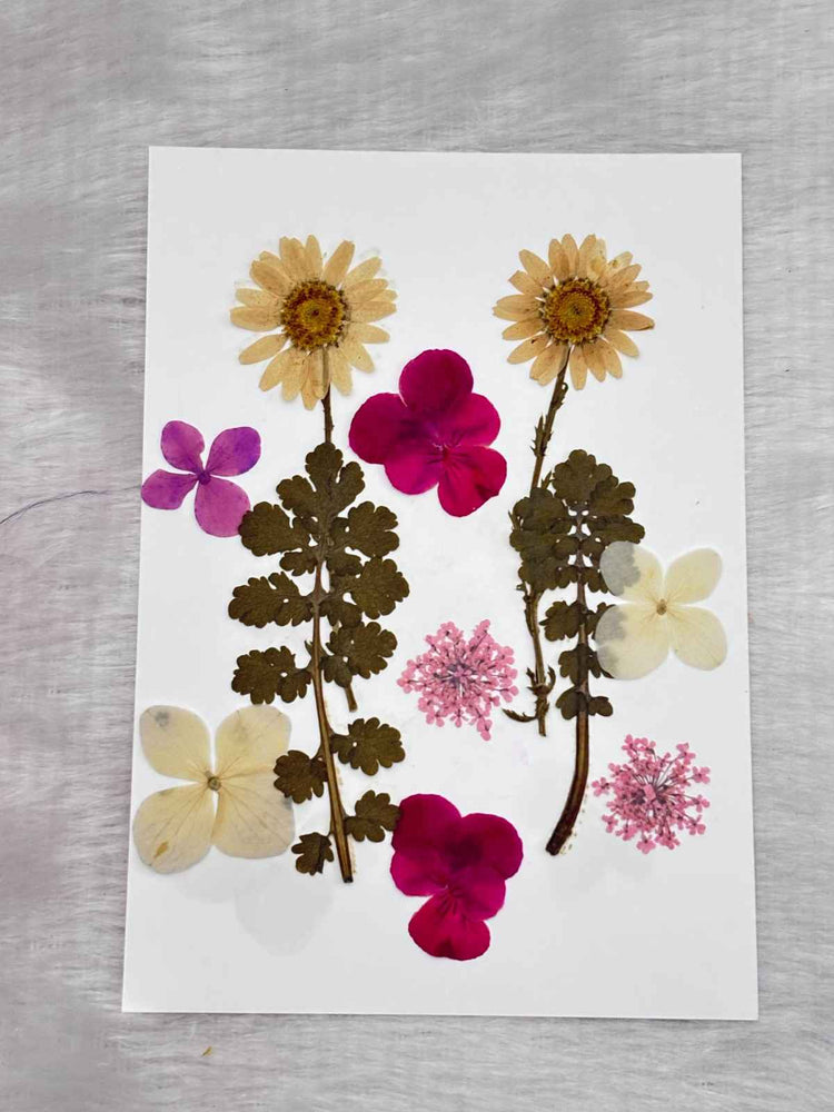Pressed Flower C3 - 1 Sheets