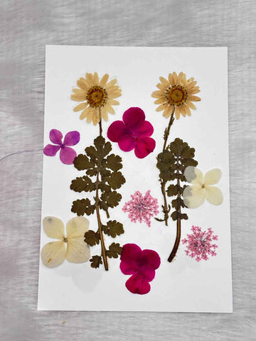 Pressed Flower C3 - 1 Sheets