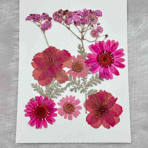 Pressed Flower C4 - 1 Sheets