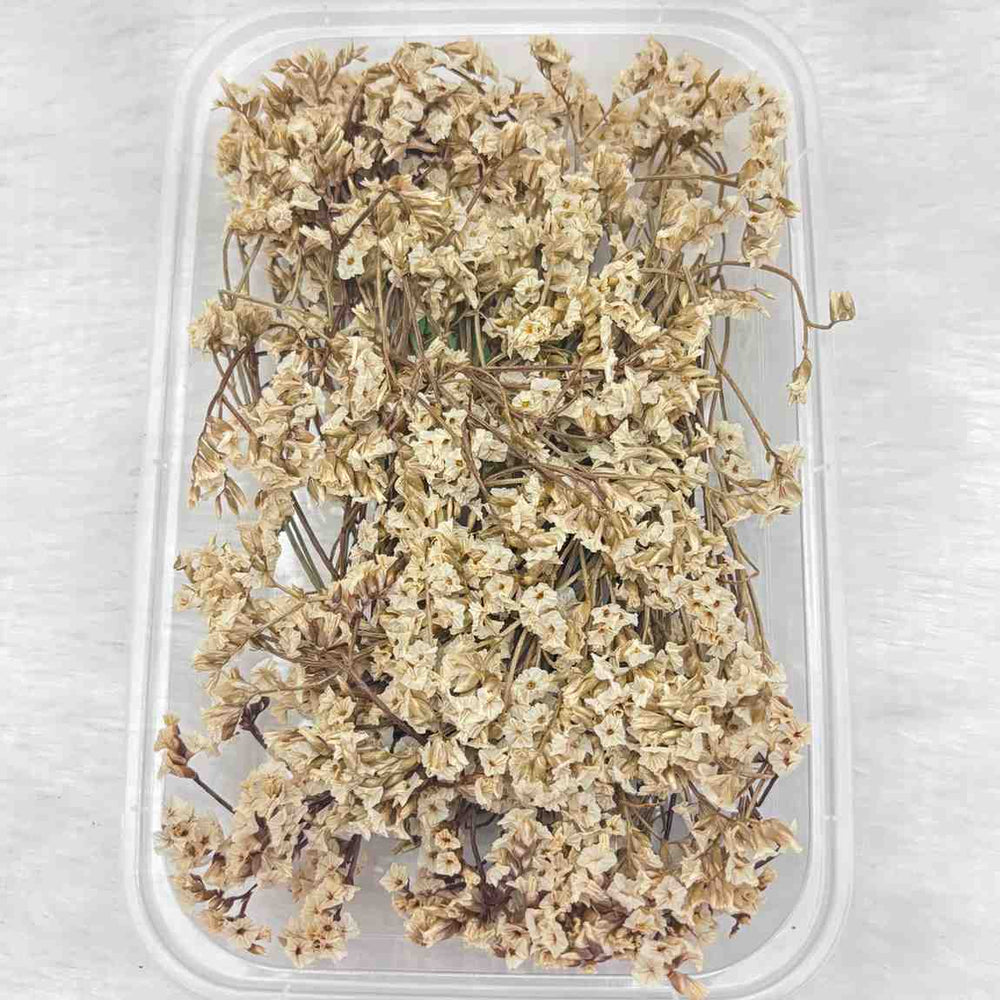 Dry Flower Box for Resin Art Type 1