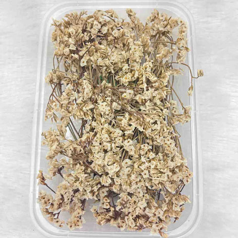 Dry Flower Box for Resin Art Type 1