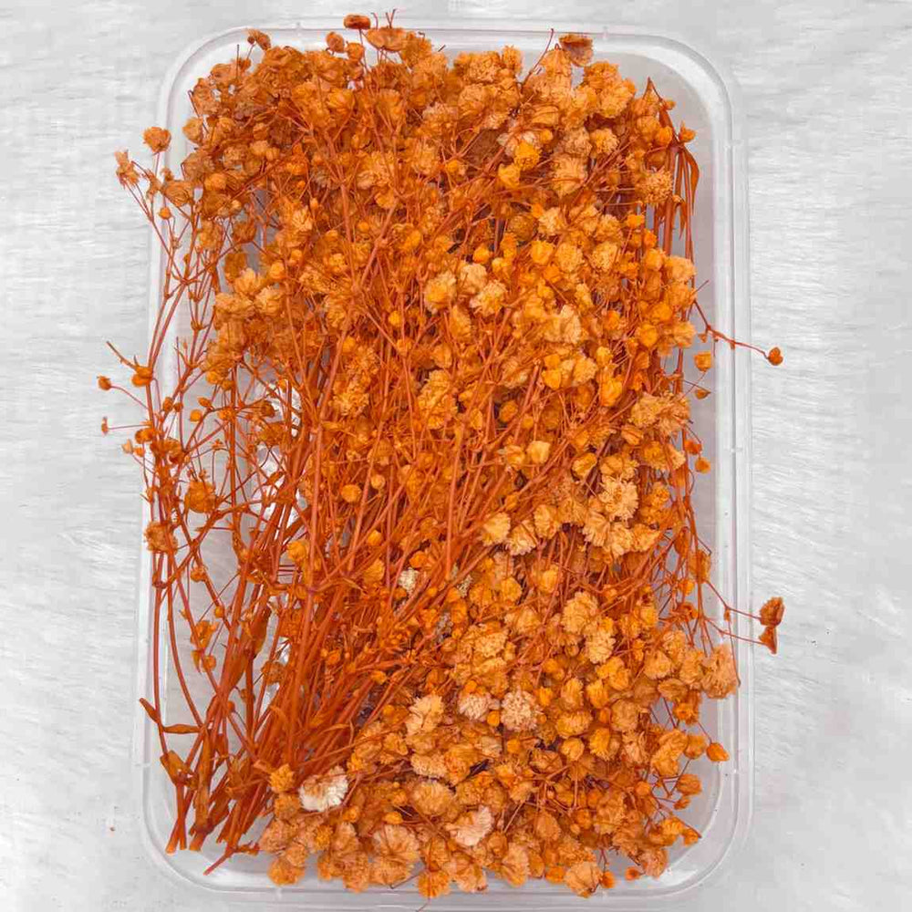 Dry Flower Box for Resin Art Type2