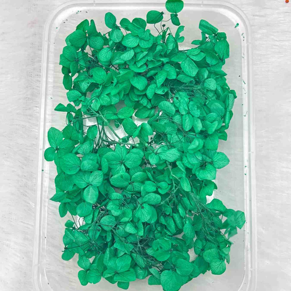 Dry Flower Box for Resin Art Type4
