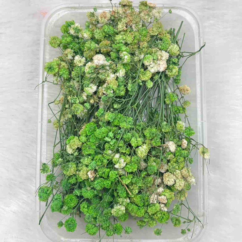 Dry Flower Box for Resin Art Type7