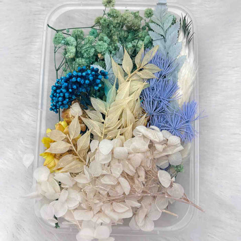 Dry Flower Box for Resin Art Type8
