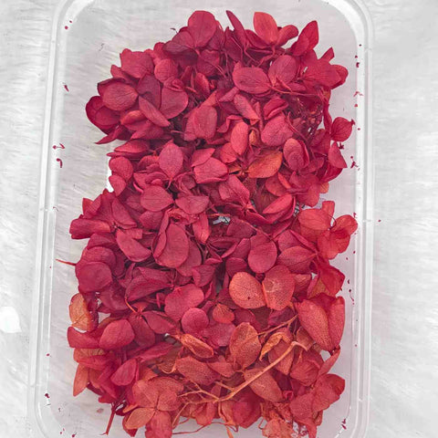 Dry Flower Box for Resin Art Type9