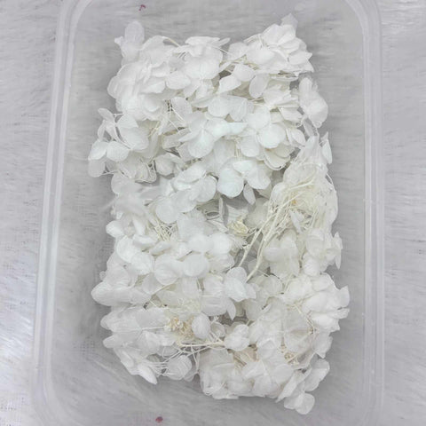 Dry Flower Box for Resin Art Type10