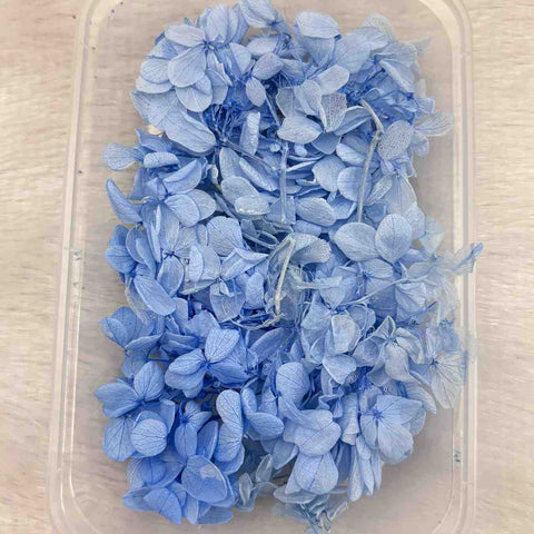 Dry Flower Box for Resin Art Type14