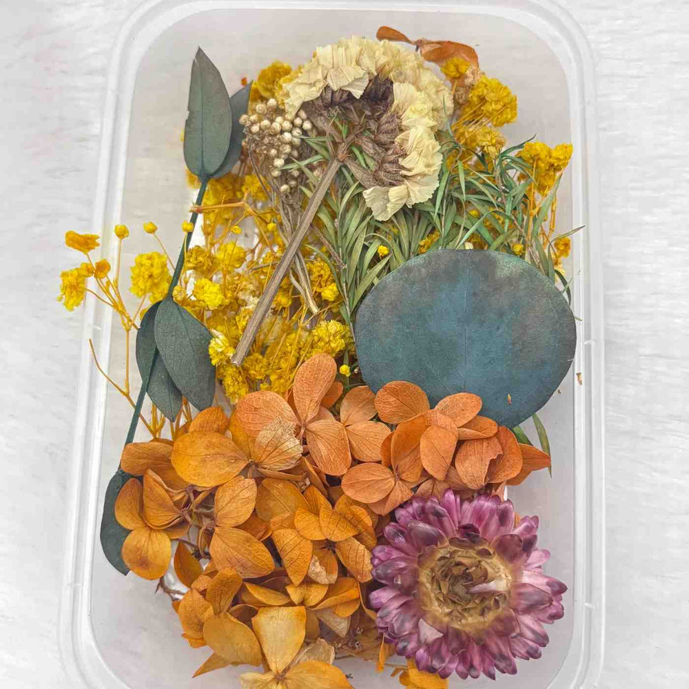 Dry Flower Box for Resin Art Type15