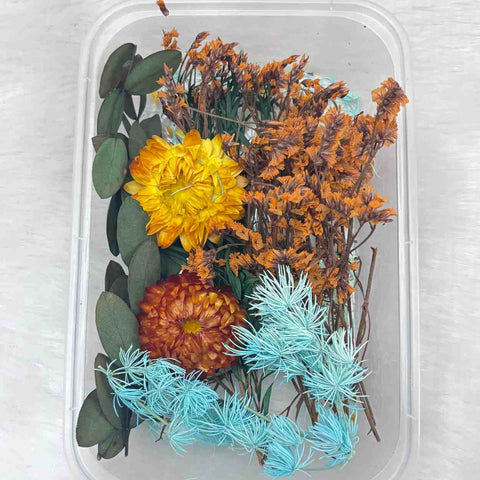 Dry Flower Box for Resin Art Type17