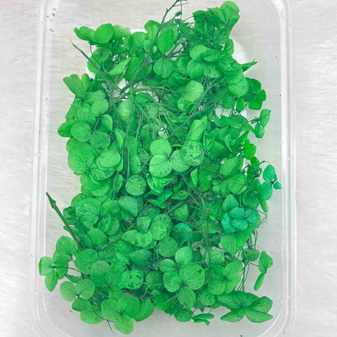 Dry Flower Box for Resin Art Type19