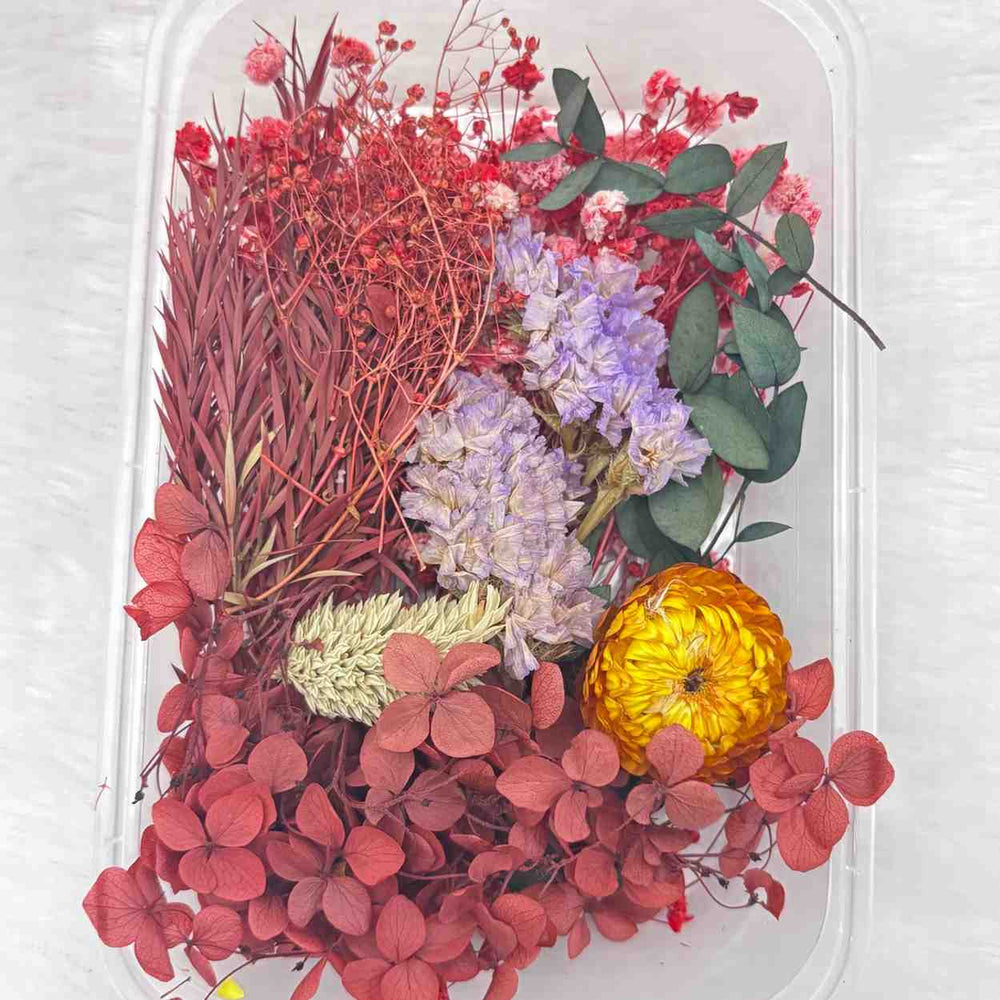 Dry Flower Box for Resin Art Type21