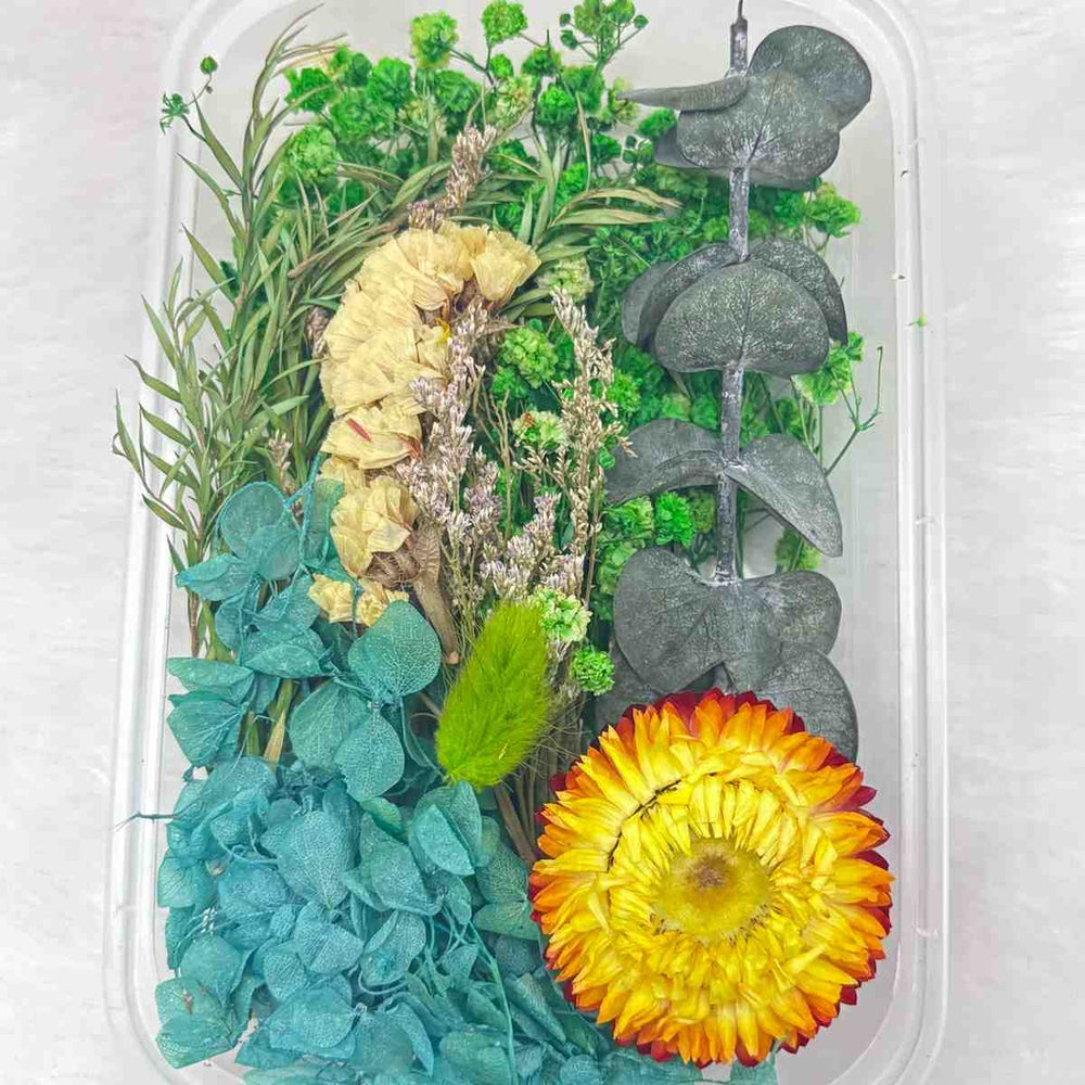 Dry Flower Box for Resin Art Type22