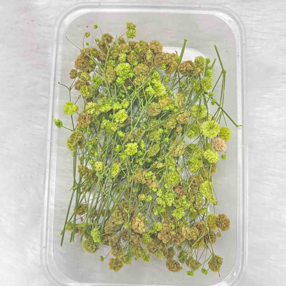 Dry Flower Box for Resin Art Type23