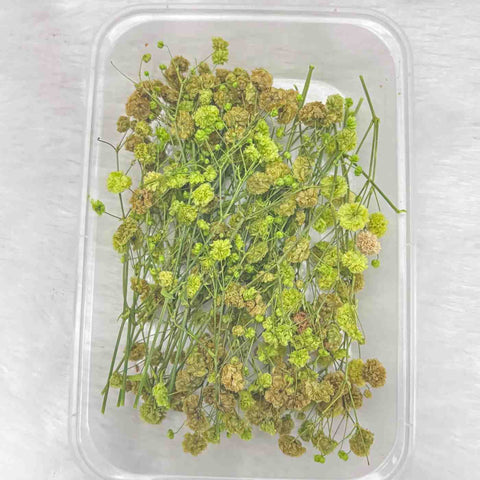 Dry Flower Box for Resin Art Type23