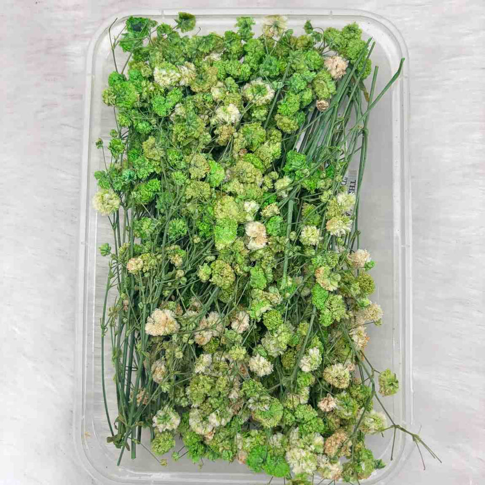 Dry Flower Box for Resin Art Type24