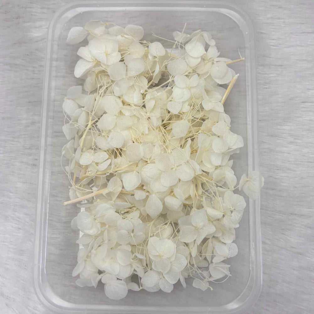 Dry Flower Box for Resin Art Type25