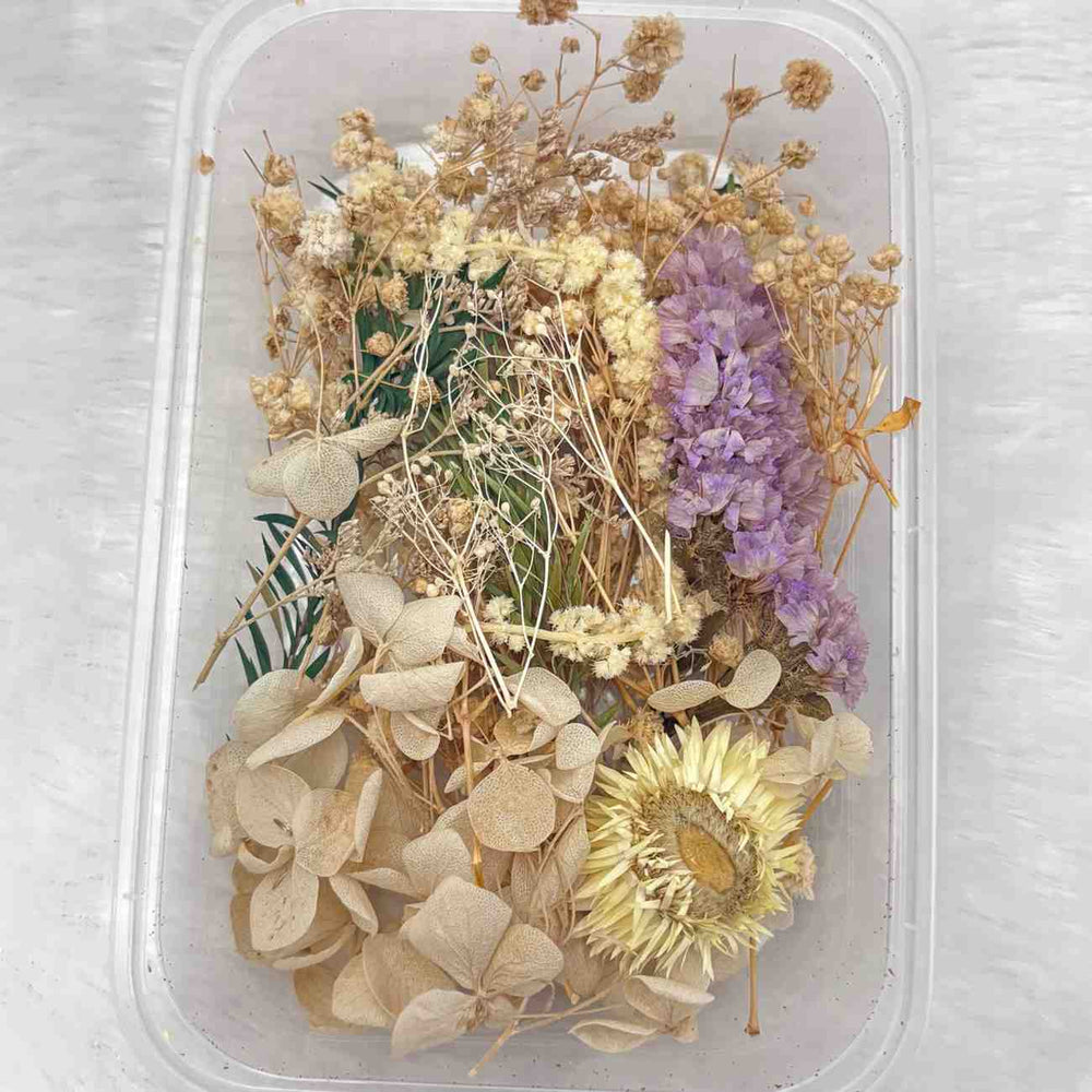 Dry Flower Box for Resin Art Type26