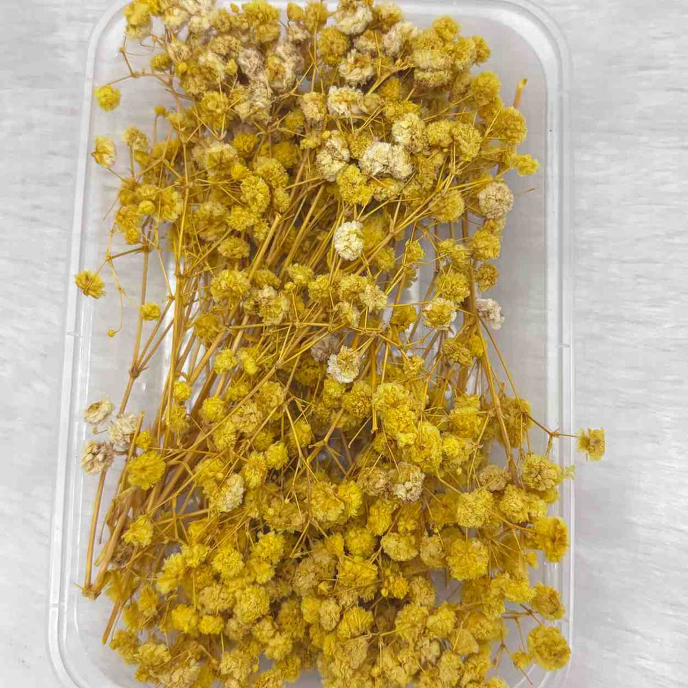 Dry Flower Box for Resin Art Type27