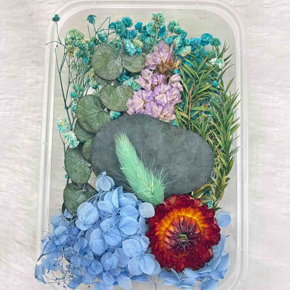 Dry Flower Box for Resin Art Type28