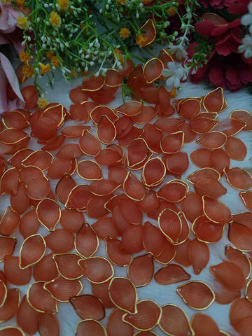Orange Lotus Petal | Lotus Type 13 - 10 gm