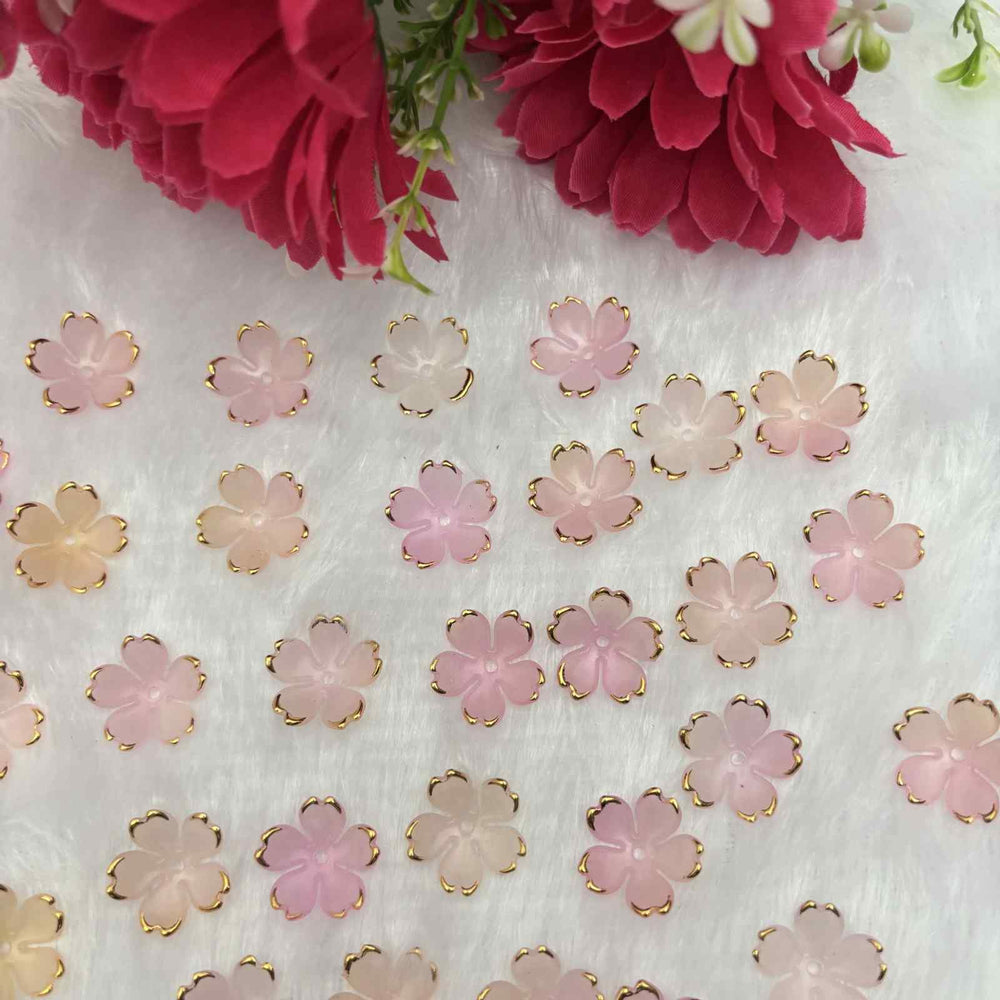 Baby Pink Type 2 - 10gm