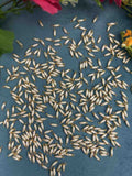 Rice Loreal - 10gm