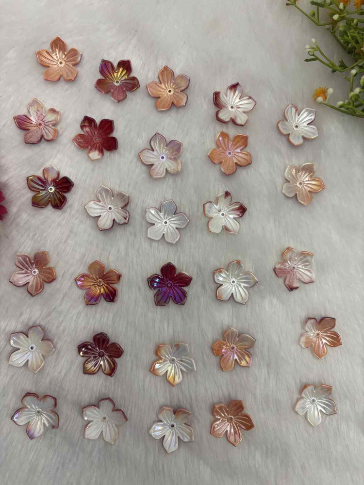 Rainbow Flower 1 - 10gm